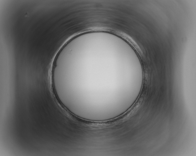 X0000102281236200807250934
