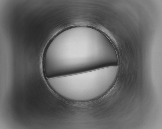 X0000102281237200807250935