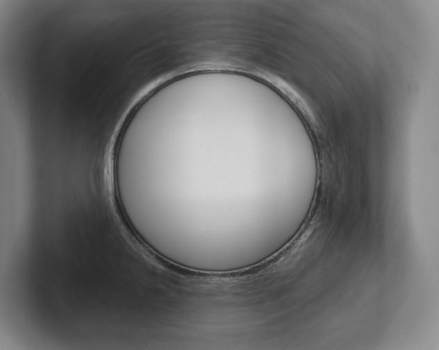 X0000102281238200807250935