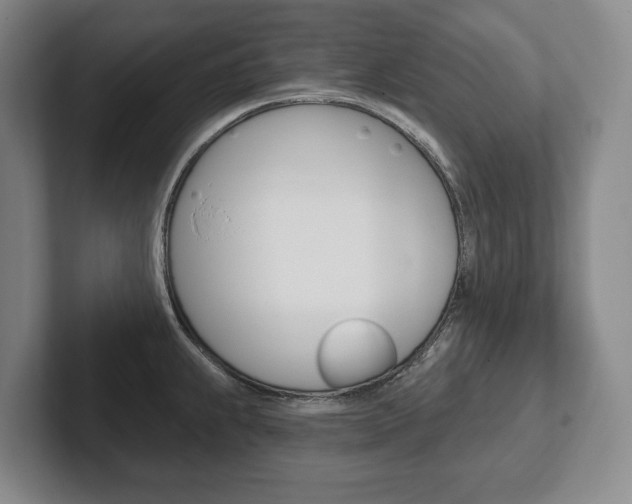 X0000102281239200807250935