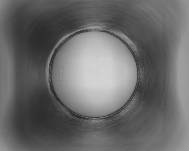 X0000102281240200807250935