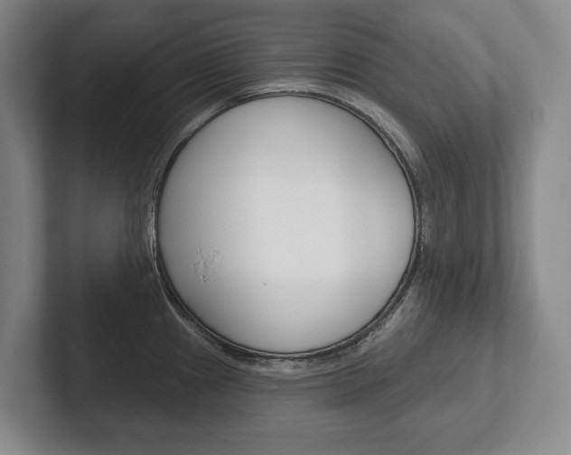 X0000102281241200807250935