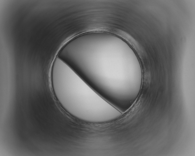 X0000102281242200807250935