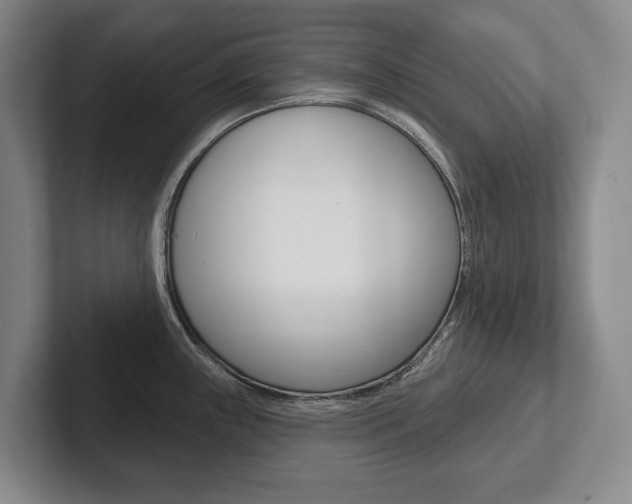 X0000102281243200807250935