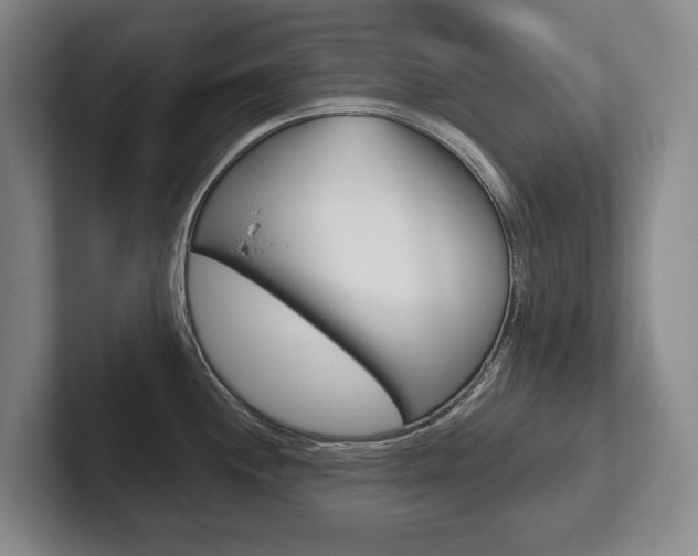 X0000102281244200807250935