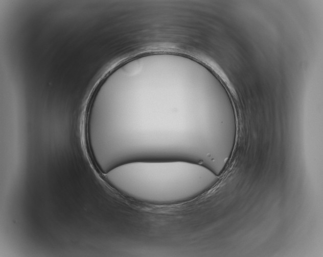 X0000102281245200807250935