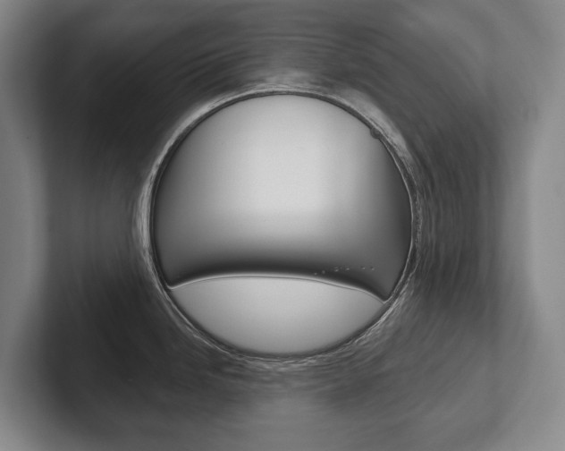X0000102281246200807250935