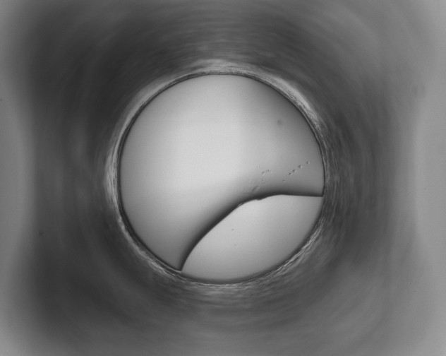 X0000102281247200807250935