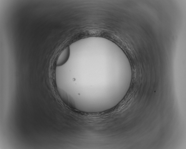 X0000102281249200807250934