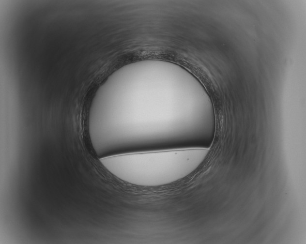X0000102281250200807250934