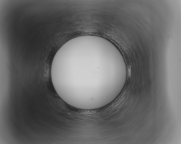X0000102281251200807250934