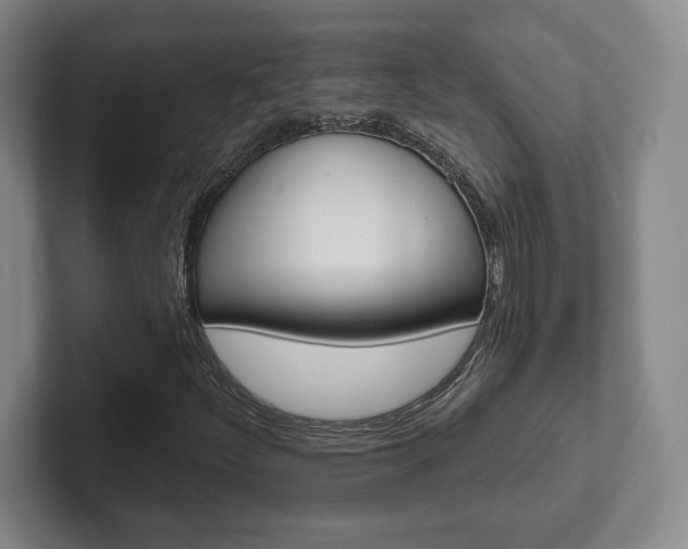 X0000102281252200807250934