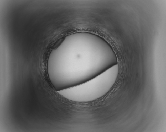 X0000102281253200807250934