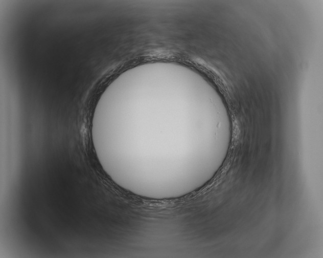 X0000102281254200807250934