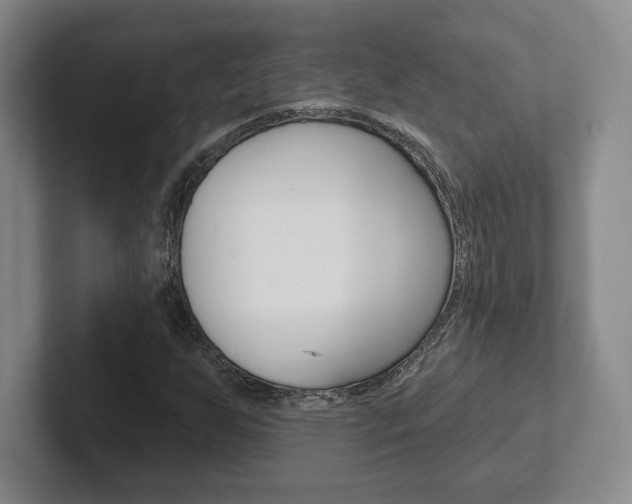 X0000102281255200807250934