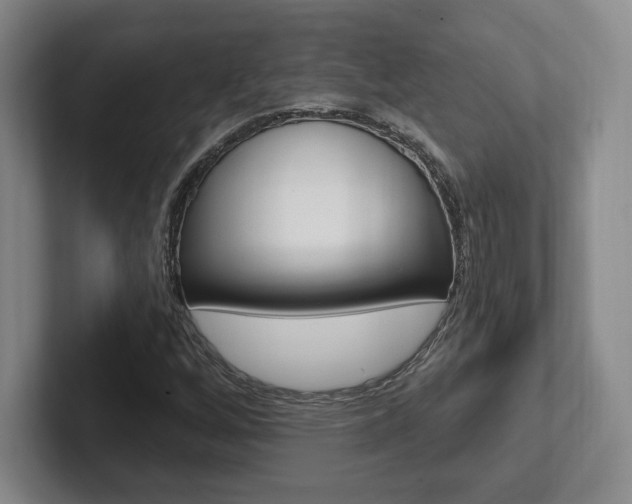 X0000102281256200807250934