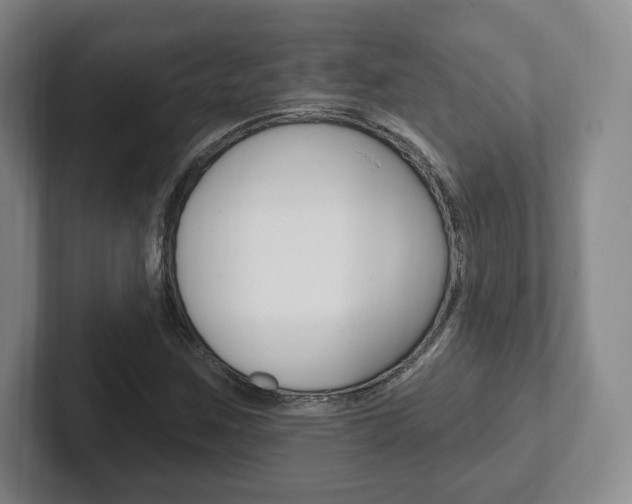 X0000102281259200807250934