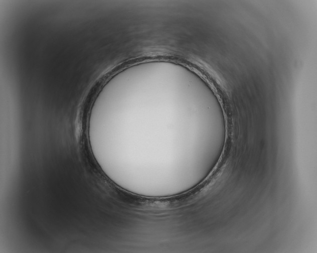 X0000102281261200807250934