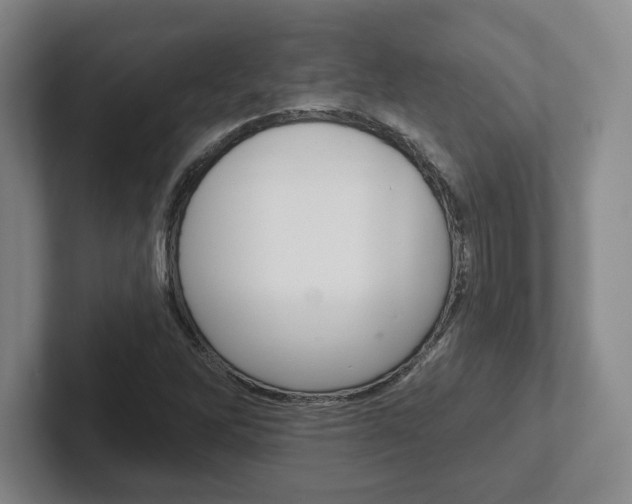 X0000102281262200807250934