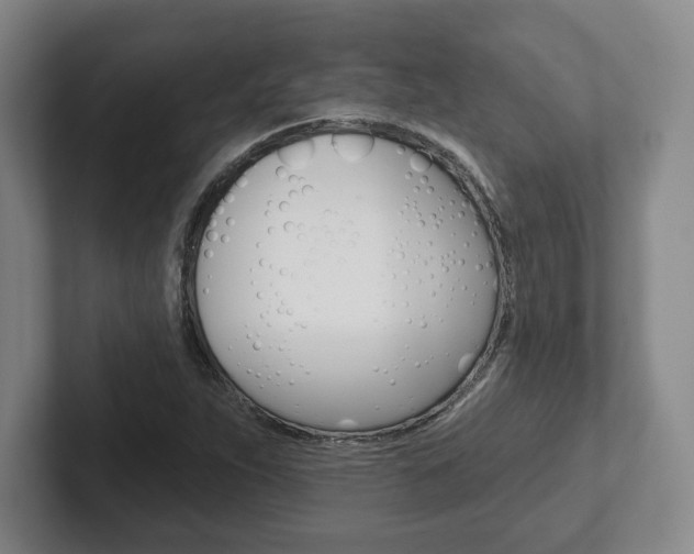 X0000102281263200807250934