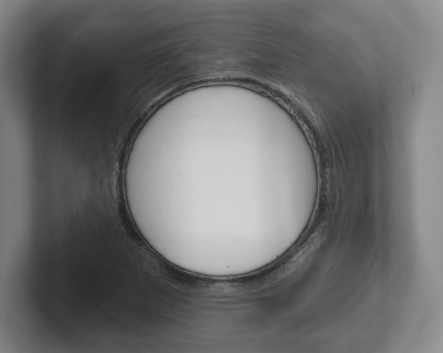 X0000102281265200807250934