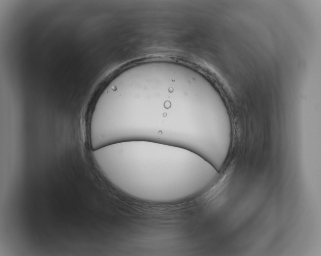X0000102281267200807250934