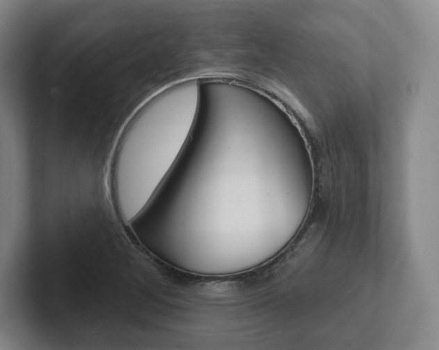 X0000102281268200807250934