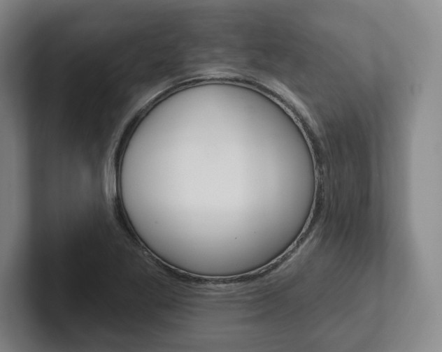 X0000102281269200807250934