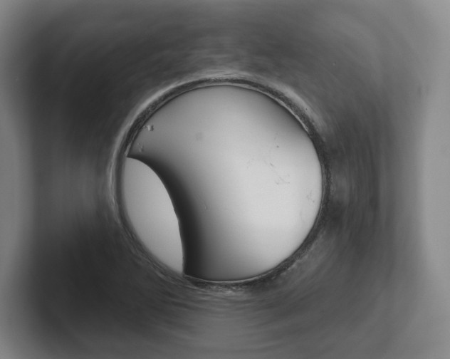 X0000102281270200807250934