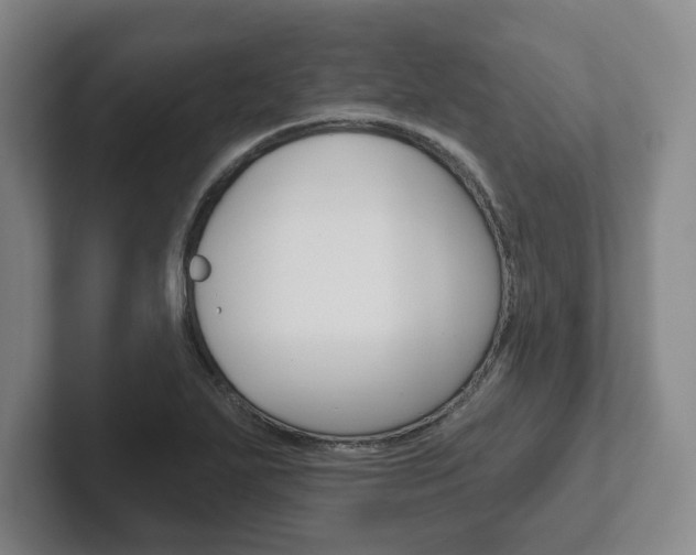 X0000102281271200807250934
