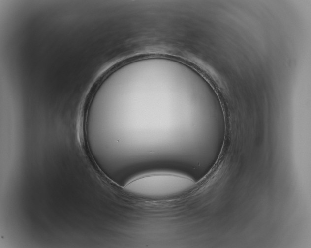 X0000102281272200807250934