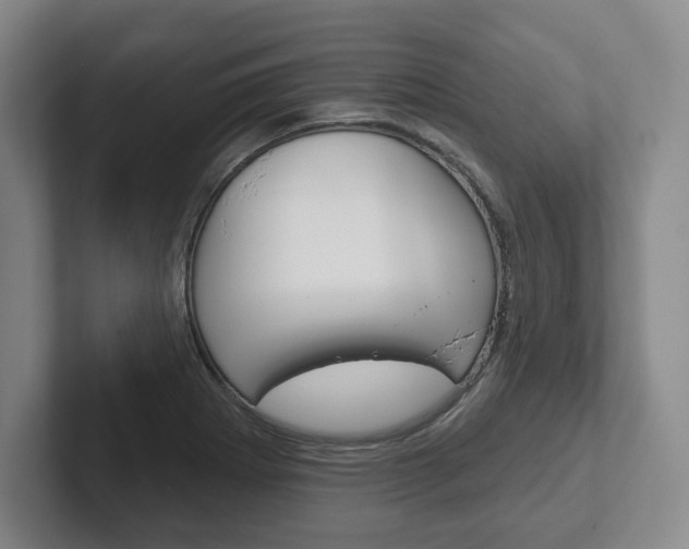 X0000102281273200807250934