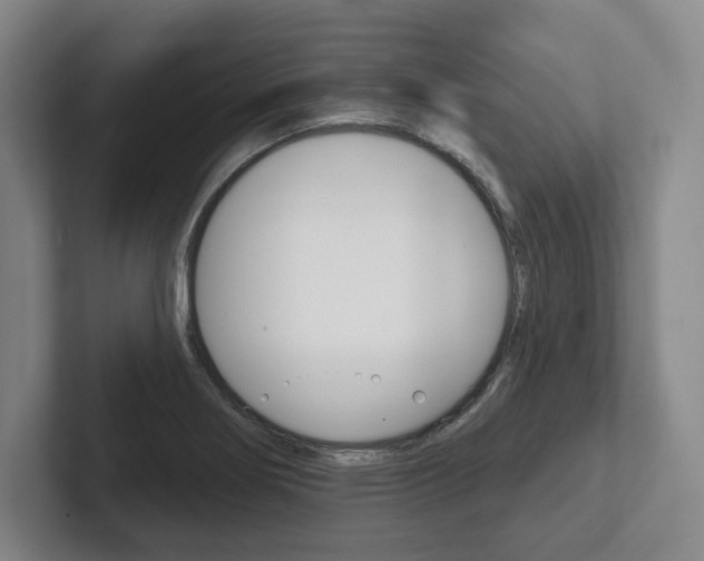 X0000102281274200807250934