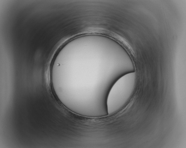 X0000102281275200807250934