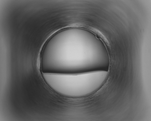 X0000102281276200807250934