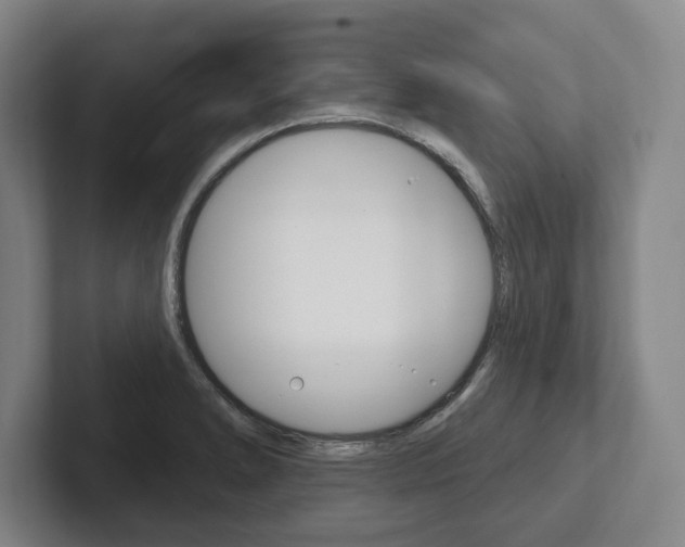 X0000102281278200807250934