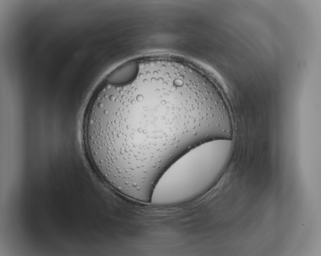 X0000102281279200807250934