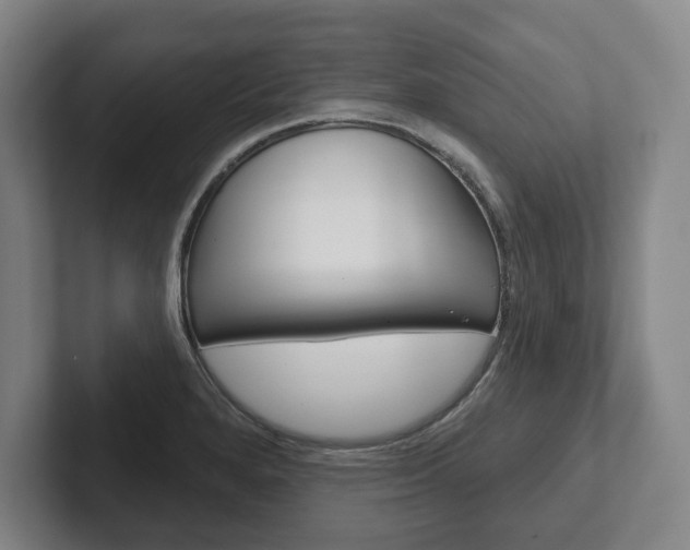 X0000102281280200807250934