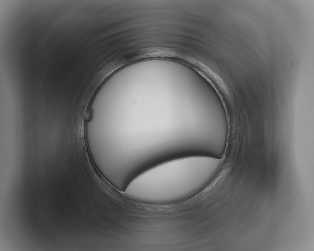 X0000102281281200807250934