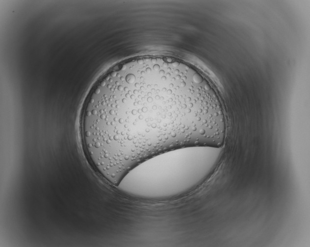X0000102281283200807250934