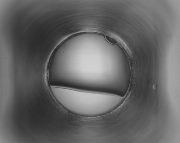 X0000102281284200807250934