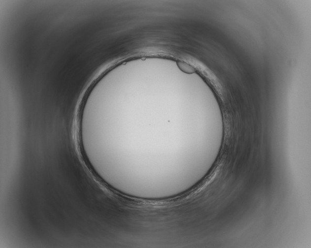 X0000102281286200807250934