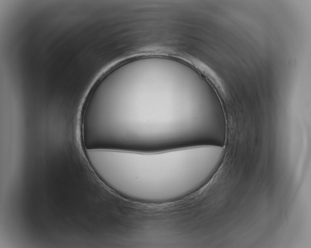 X0000102281288200807250934