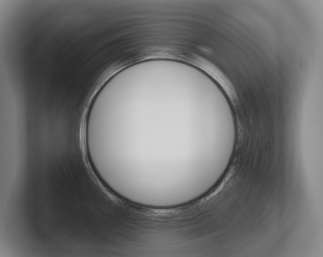 X0000102281290200807250933