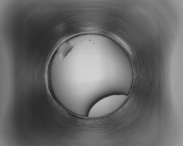 X0000102281291200807250933