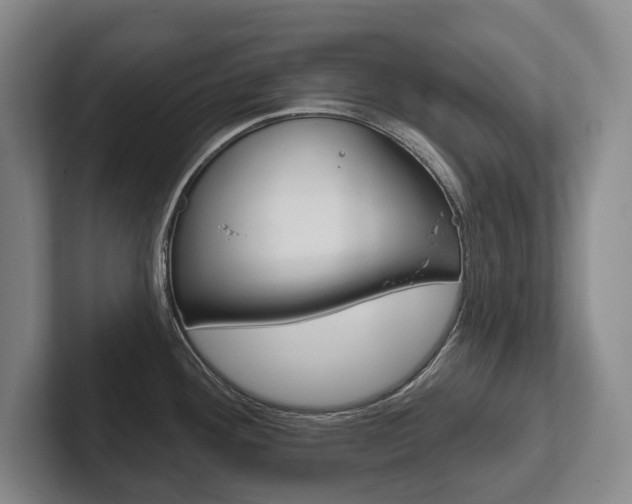 X0000102281292200807250933