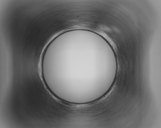 X0000102281294200807250933