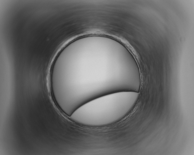 X0000102281295200807250933