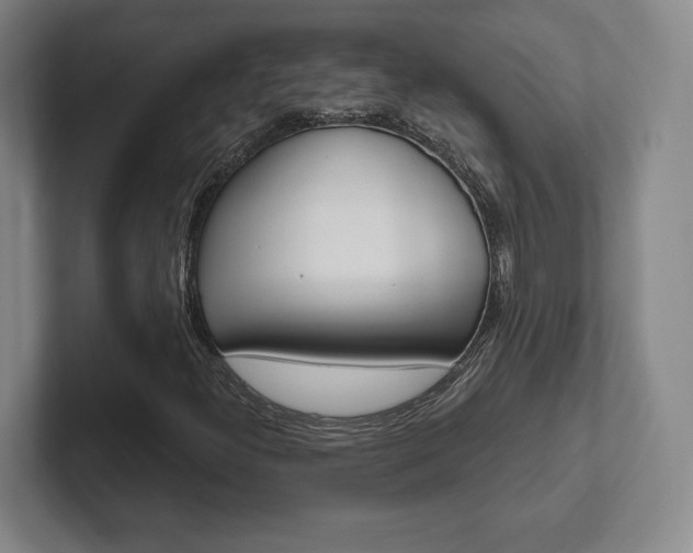 X0000102281300200807250933