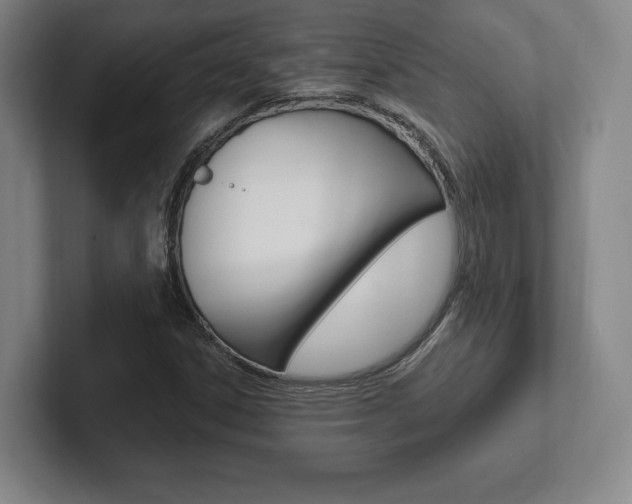 X0000102281306200807250933